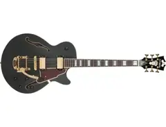 D'angelico Bob Weir signature