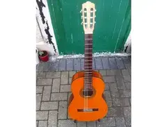 SUZUKI NAGOYA 1664 CEDAR TOP CLASSICAL GUITAR main image