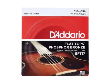 D'Addario EFT17