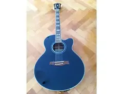 Ibanez Acoustic-Electric