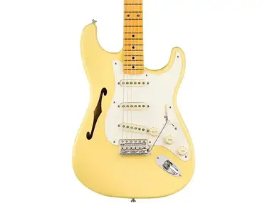 Fender Eric Johnson Signature Thinline American Stratocaster