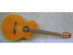 Takamine EN60C main image