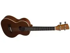 Brunswick BU4T