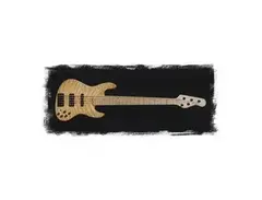 Frudua GFJ-VO 5 strings