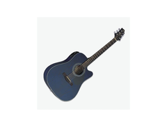 Samick Greg Bennett D4 CE TBL main image