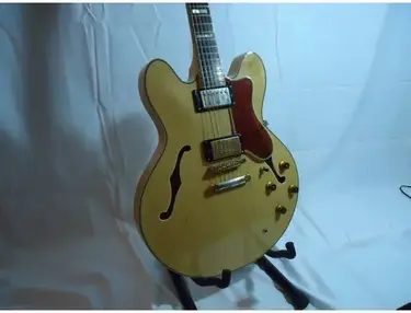 Epiphone by Gibson Sheraton 80s