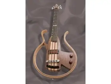 Dragonfly bass & transparent Q-tuner q2.0 pickup