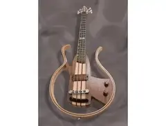 Dragonfly bass & transparent Q-tuner q2.0 pickup main image