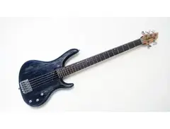 Washburn RB-2500 - Modified main image