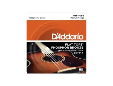 D'Addario EFT13