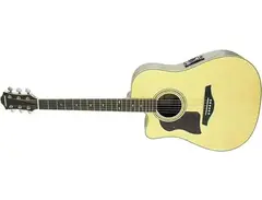 Hohner DR500CE/LH main image