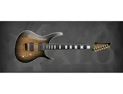 Halo Custom Guitars Octavia