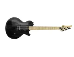 Halo custom Guitars Covenant