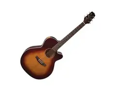 Takamine EG5403SC-VFT main image