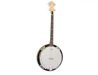 Tanglewood Tenor Banjo