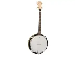 Tanglewood Tenor Banjo main image