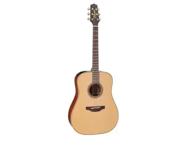 Takamine P3D