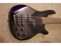 Vintage V800 Active Bass