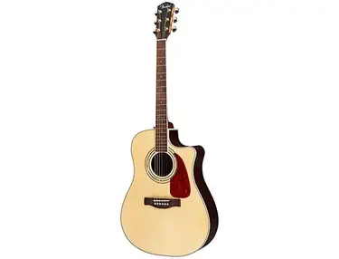 Fender DG-200SCE