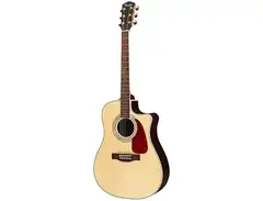Fender DG-200SCE main image