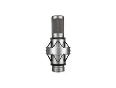 Brauner VM1 Multipattern Valve Tube Microphone