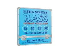 Elites Detroit Flats 45-105 Bass Strings main image