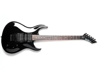 Washburn WM17V