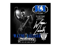 S.I.T. Wayne Lozinak Signature Power Wound Strings (11-58)