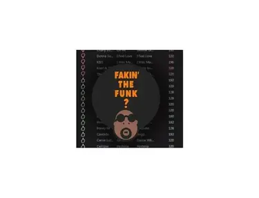Fakin' The Funk