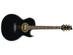 Ibanez Steve Vai Signature EP10 Euphoria Acoustic - Black Pearl