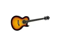Ibanez JSA20 Joe Satriani Signature Guitar