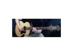Legator Helio Acoustic Guitar