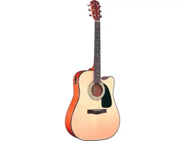 Fender DG 10CE NAT