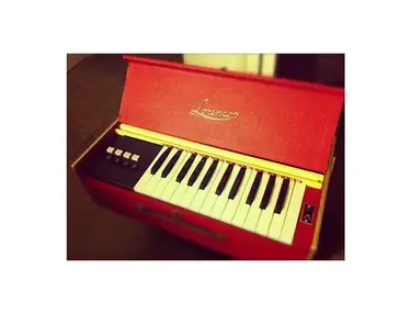 Lorenzo Custom Reed Organ
