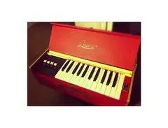 Lorenzo Custom Reed Organ