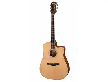 Eastman AC320CE