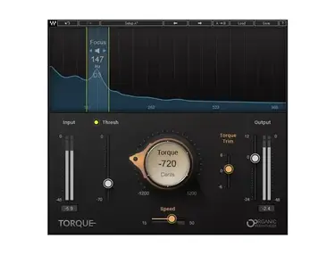 Waves Torque