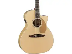 Fender California Series Newporter Player