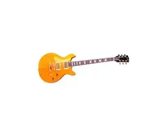 Gibson Les Paul DC Lite Electric Guitar