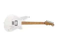 Reverend Billy Corgan Terz