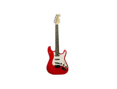 RJ Guitars Basics Terracaster