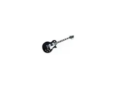 Palmer Guitars Les Paul Guitar main image