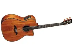 Alvarez Yairi Virtuoso WY1K main image