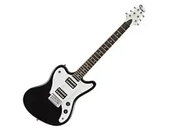 Black Badger by Badger Guitar Company main image