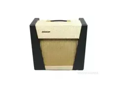 Watkins Scout Amplifier