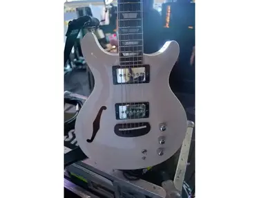 Hamer Duotone Refinished