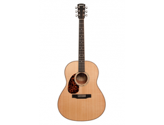 Larrivée Guitars L-05 main image