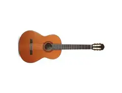 Yamaha G-55A main image