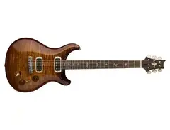 PRS Experience PRS 2018 Paul's Guitar