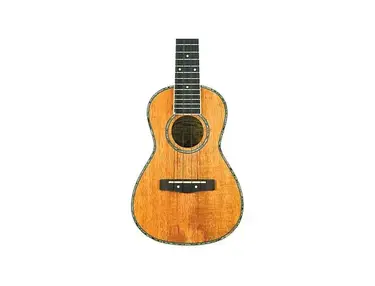 Mitchell mu-100